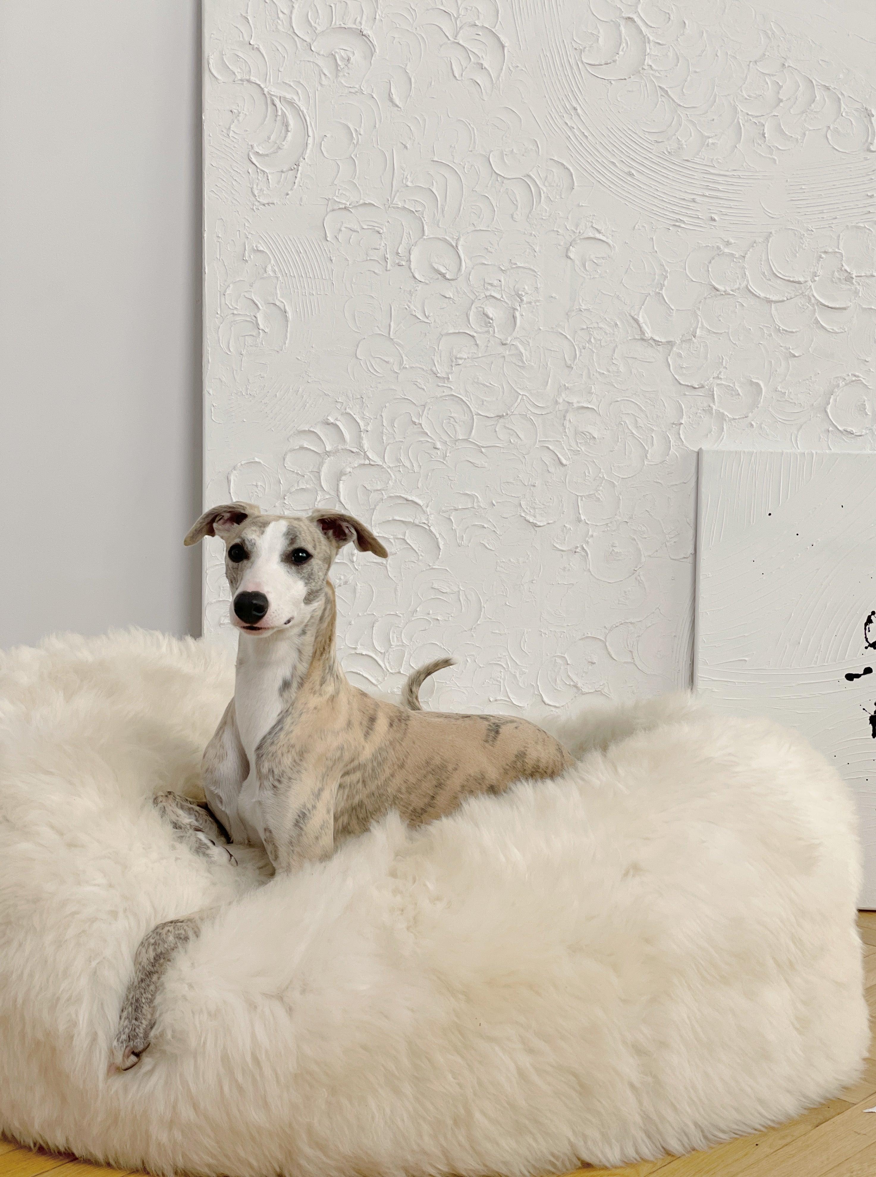 Oval Sheepskin Pet Bed | Luxuriously Soft Sleep for Cats & Dogs – White