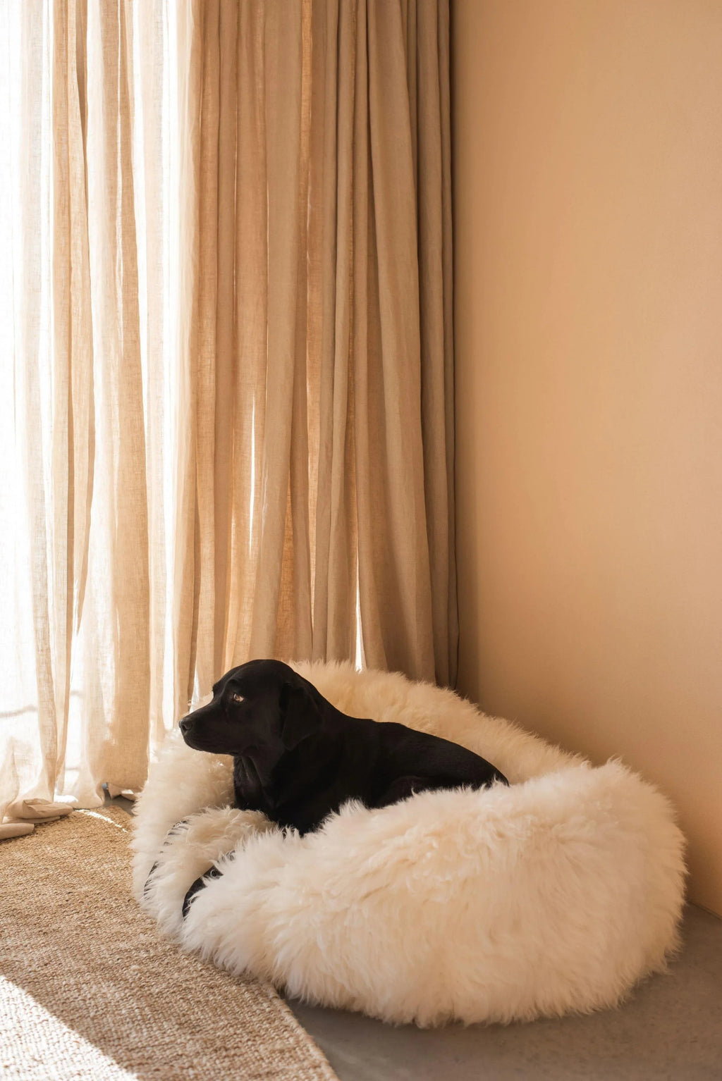 Oval Sheepskin Pet Bed | Luxuriously Soft Sleep for Cats & Dogs – White
