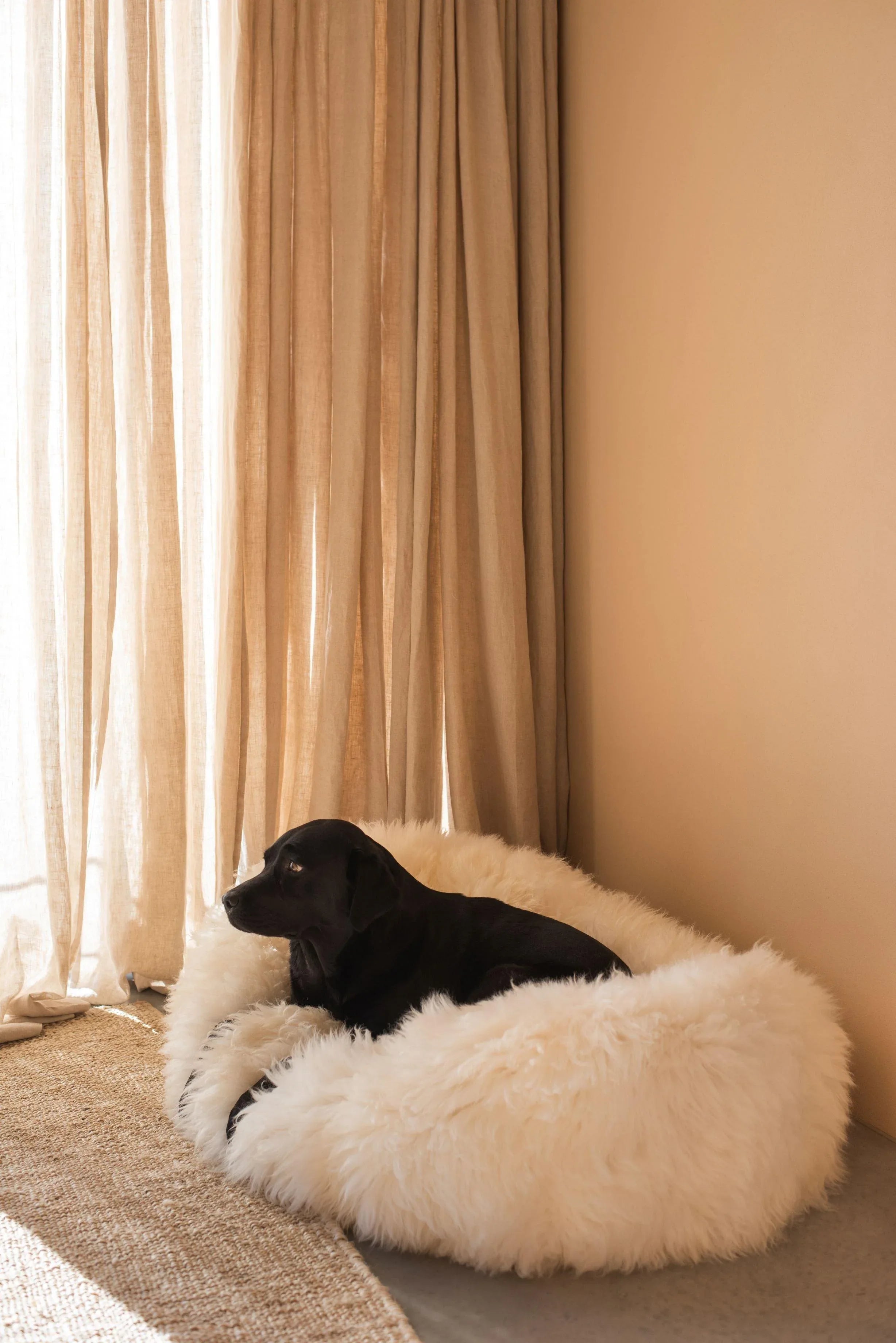Oval Sheepskin Pet Bed | Luxuriously Soft Sleep for Cats & Dogs – White