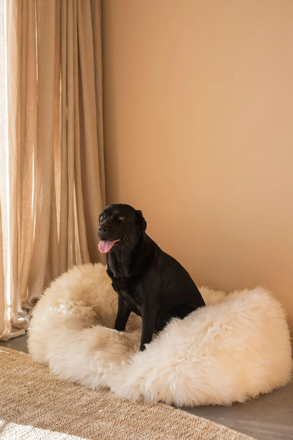 Oval Sheepskin Pet Bed | Luxuriously Soft Sleep for Cats & Dogs – White