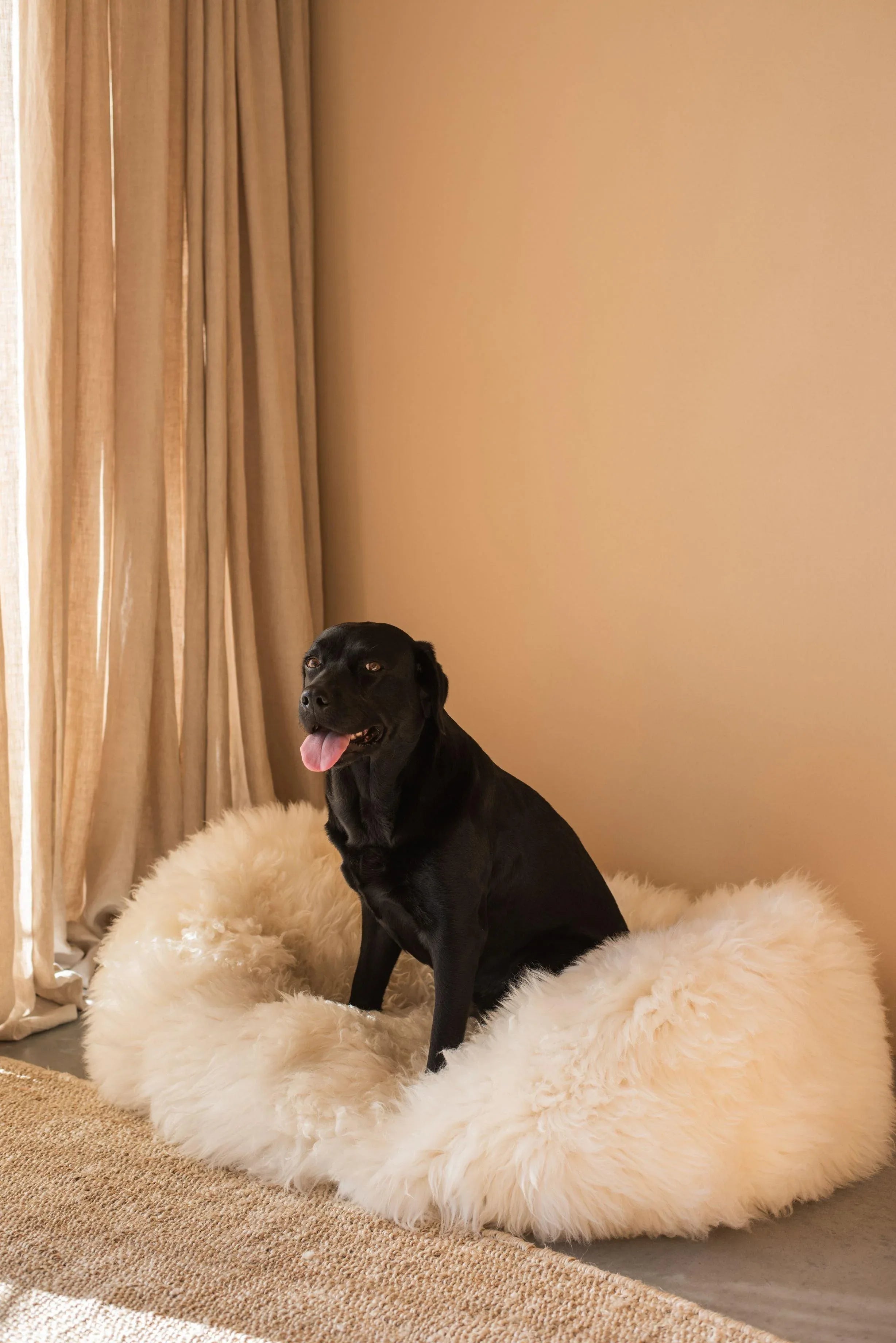 Oval Sheepskin Pet Bed | Luxuriously Soft Sleep for Cats & Dogs – White