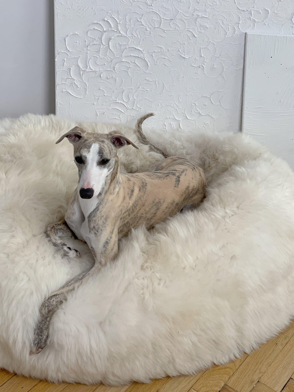 Oval Sheepskin Pet Bed | Luxuriously Soft Sleep for Cats & Dogs – White