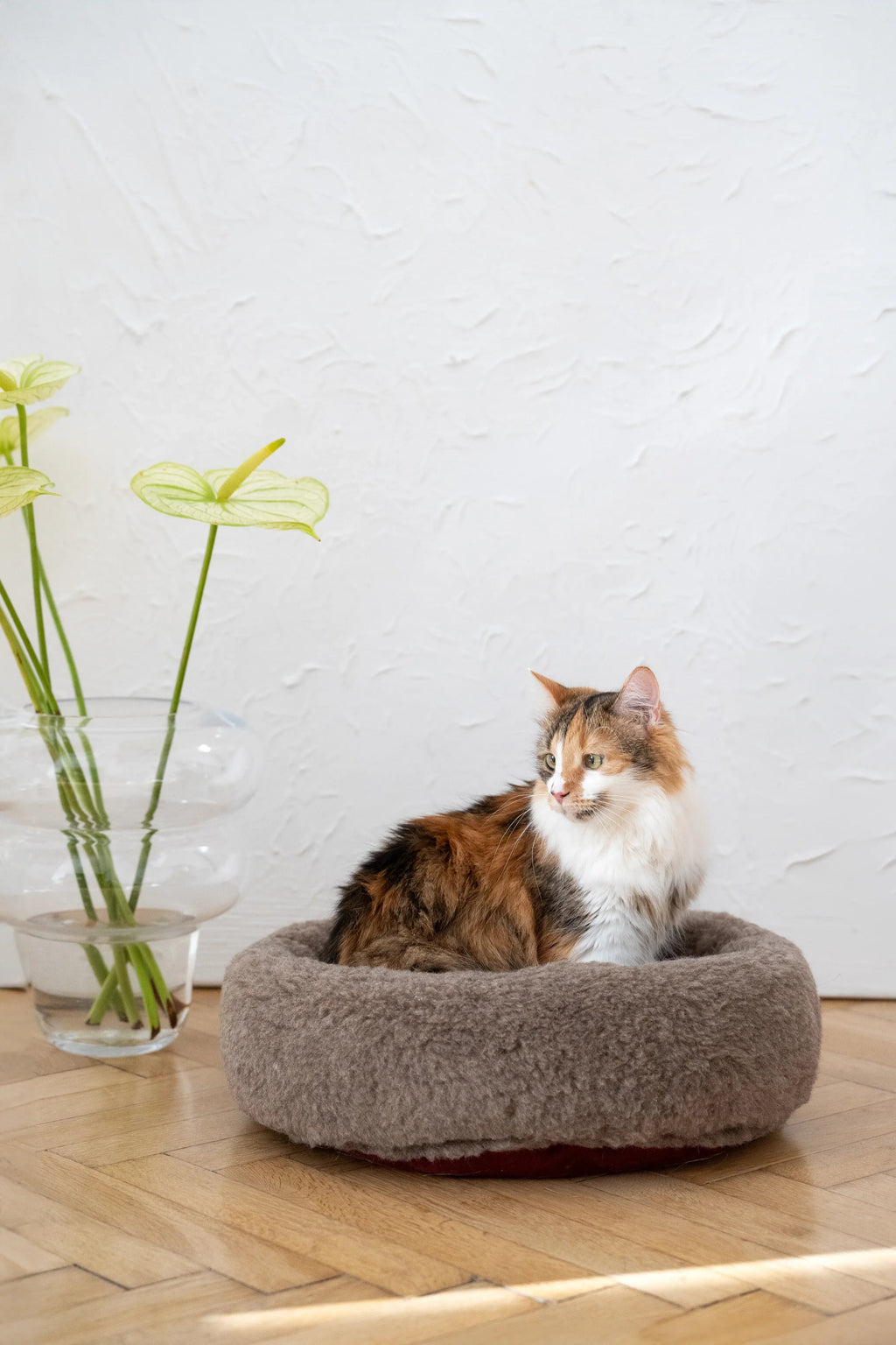 Natural Wool Round Pet Bed | Cozy, Eco-Friendly Comfort – Beige