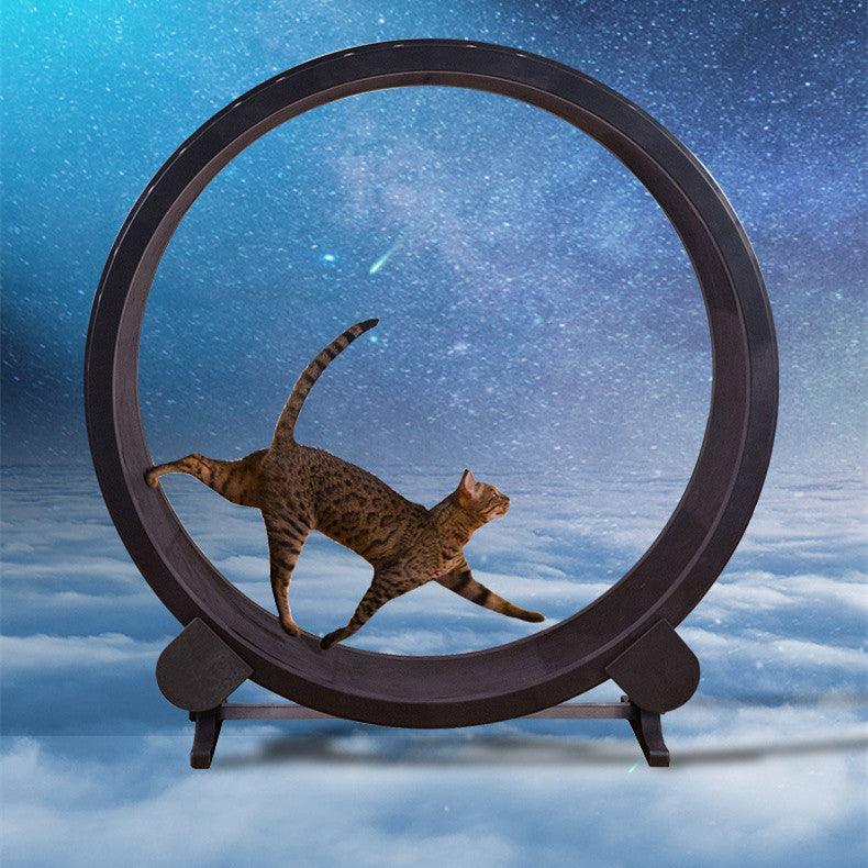 Cat Exercise Wheel | Indoor Fitness Wheel for Active Cats