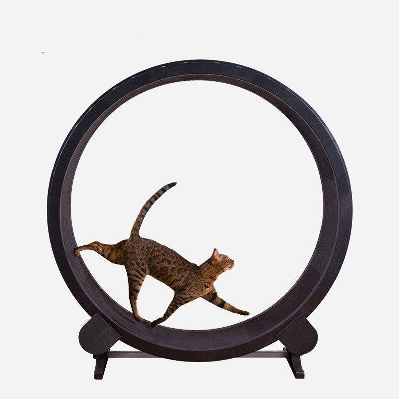 Cat Exercise Wheel | Indoor Fitness Wheel for Active Cats