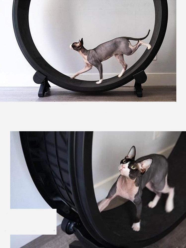 Cat Exercise Wheel | Indoor Fitness Wheel for Active Cats