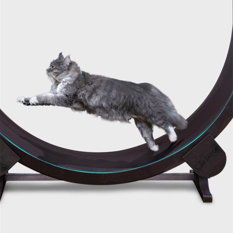 Cat Exercise Wheel | Indoor Fitness Wheel for Active Cats