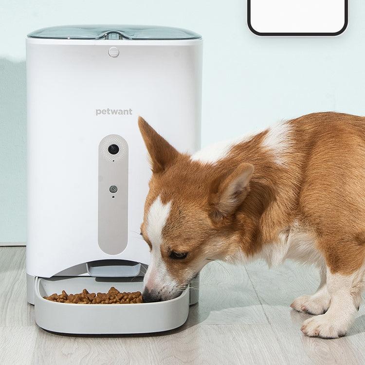 Smartpaws Wi-Fi Pet Feeder | Remote Control & Food Monitoring