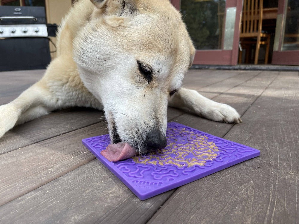 Bones eMat | SodaPup Enrichment Lick Mat for Anxiety Relief in Dogs & Cats